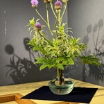 鐘山苑 - 店内は生花で彩られております。