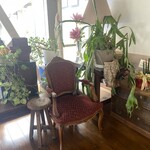 ハーミットグリーンカフェ - 