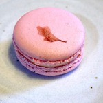 アテスウェイ - マカロン　さくら