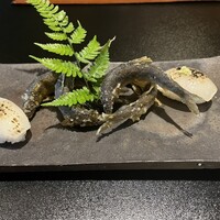 寺家 ひらさわ - 
