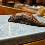 神楽坂 鮨 りん - 