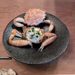 Seminare Karuizawa - トゲクリガニ