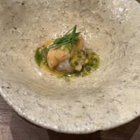 Selvaggio - 