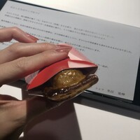 レフェルヴェソンス - 