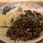 ハルダモンカレー - ミックスミートキーマ