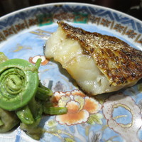 うち山 - 焼物　長崎県産ノドグロの西京味噌漬け焼き　こごみ　蕗の薹　たらの芽