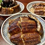 炭焼うな富士 - 上うなぎ丼