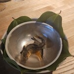 レスピラシオン - 