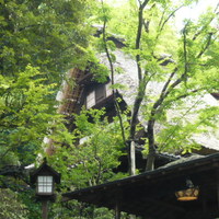 うかい鳥山 - 