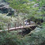 十一丁目茶屋 - 