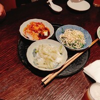 雪梅花 菜根譚 - 