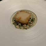 カンテサンス - 