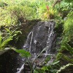 百年古家 大家 - 