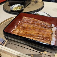 うなぎ 目白ぞろ芽 - 