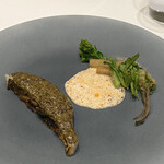 Takumi - 魚料理 真鯛のポワレ 蕗の薹のソース 季節の山菜とサクラエビのパウダー エビ香るオイルのミルクソース