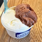 GELATERIA THE CREAM - L号480日元（含税），最多可选三种