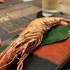 あまみの魚たち