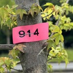 インデアンレストラン  ニューミラ - 