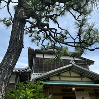 からすみ蕎麦 月と松 - 