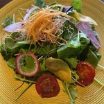 天ノ寂 - ボリューミーサラダ