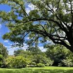 日出町的山荘 - 