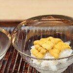 緒方 - 小浜の赤ウニ