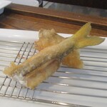 旬彩 天ぷら 心来(しんら） - 鮎。