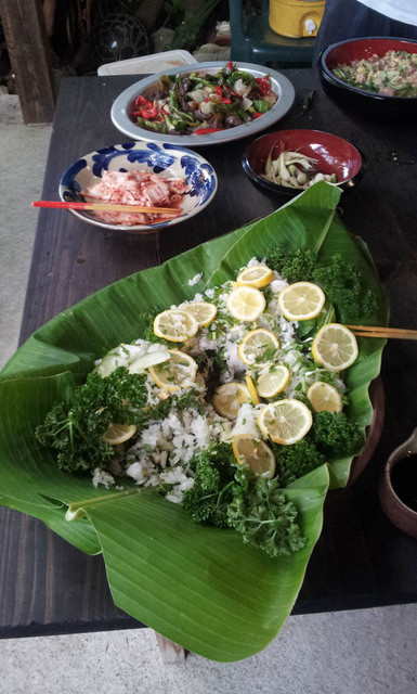 民宿 海山木 みやぎ 国頭村 旅館 食べログ