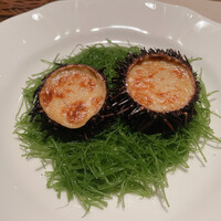ザンビ - 