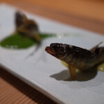 御料理 まつ山 - 