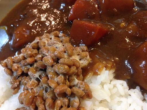 たぬき食堂 東梅田 居酒屋 食べログ たぬき食堂 東梅田 居酒屋 食べログ