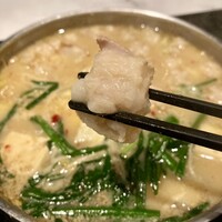 博多もつ鍋 やま中 赤坂店 - もつ鍋