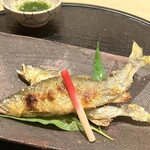 新ばし 星野 - 新潟県 府屋大川の鮎