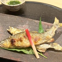 新ばし 星野 - 新潟県 府屋大川の鮎