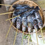 渓流魚の里　七瀬川 - 