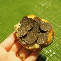 モリエール モンターニュ - 