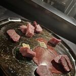 達磨商會 - ランプ＆ヒレヒモちゃん達！