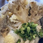 情熱うどん わらく - 舞茸天
