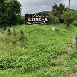 サン・レミ・ド・プロヴァンス - 