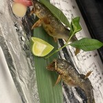 おおさか料理  浅井 - 