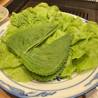 神戸焼肉 金虎 - サンチュセット