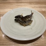 旬菜旬魚 たじま - 