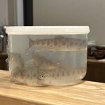 旬菜旬魚 たじま - 