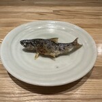 旬菜旬魚 たじま - 