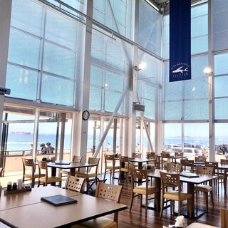 ザ・フィッシュ_1