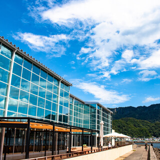 ザ・フィッシュ_2