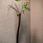 樋口 - 素敵なお花。個室の設えはとても素敵でした。