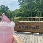 知床五湖パークサービスセンター - 