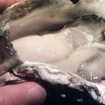 OYSTER BAR 酒肆石花 - 