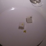 カイノヤ - 新玉ねぎのパンナコッタ